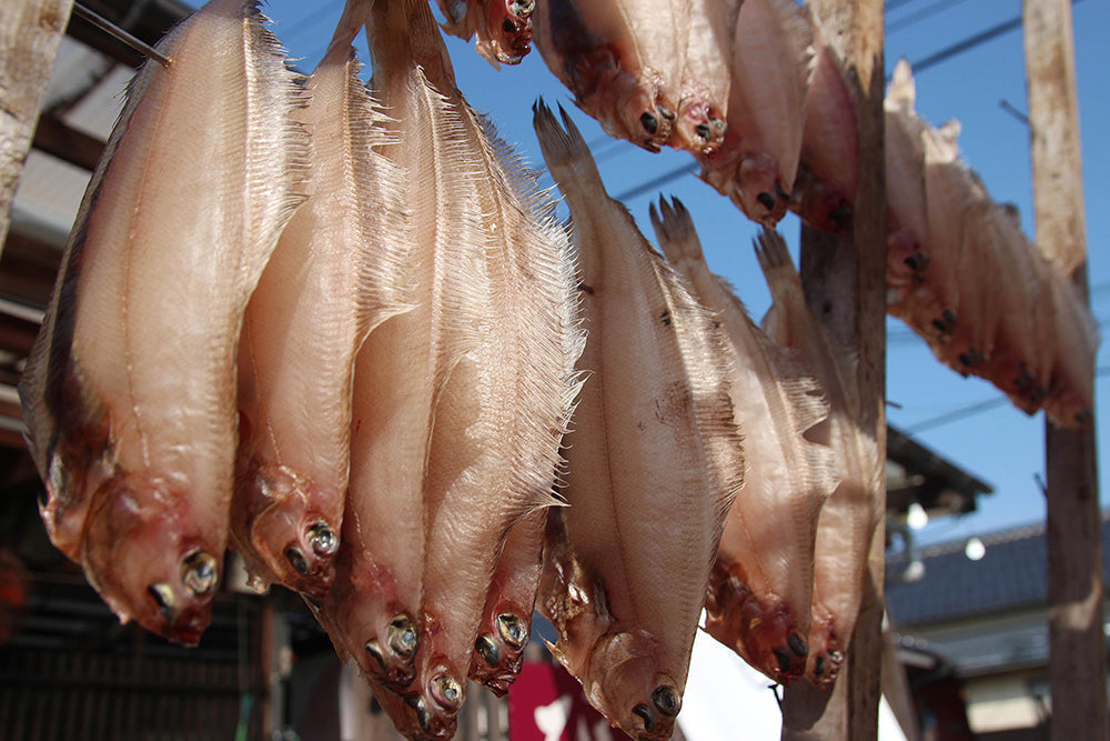 旨干しササカレイ・山陰産