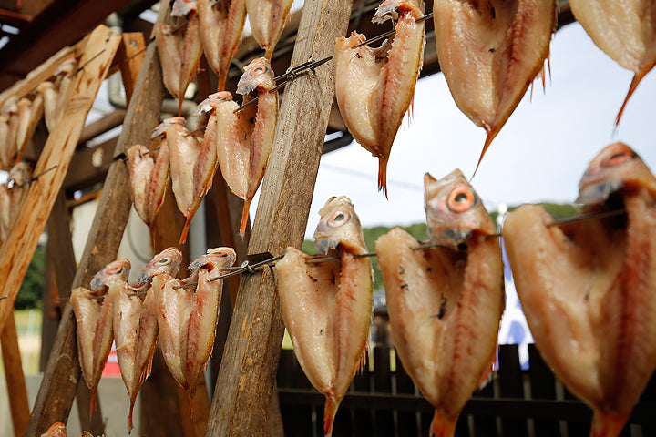 旨干しノドグロ【間人(たいざ)産】300g級