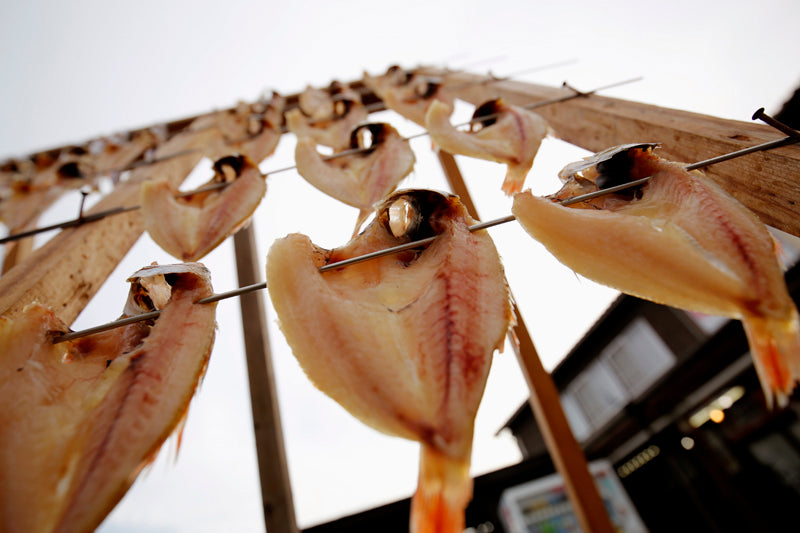 旨干しノドグロ【間人(たいざ)産】300g級