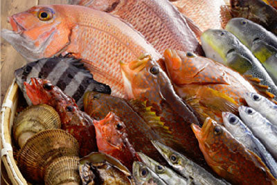 季節の干物詰め合わせ 【松風セット】【おまかせセット】