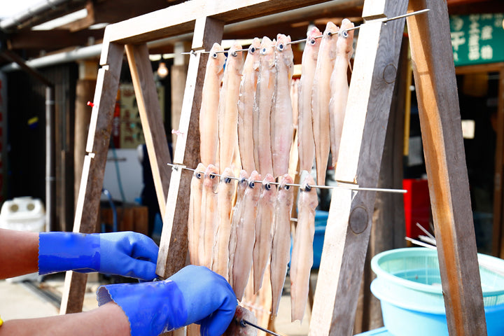 旨干しグラ・山陰産(8-10匹)