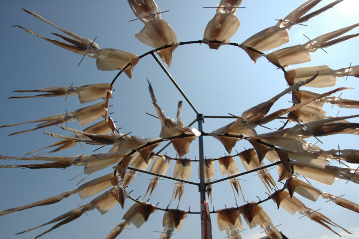 旨干し一夜干しスルメ 2枚セット