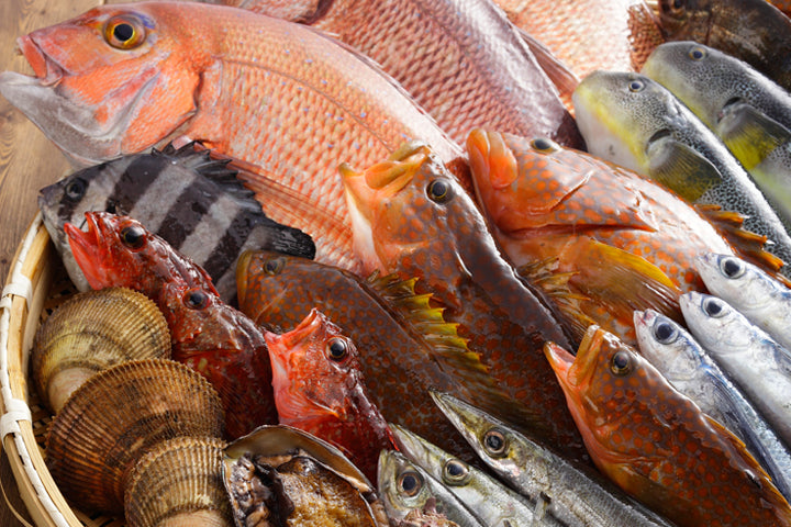 季節の干物詰め合わせ【湖畔セット】 【おまかせセット】