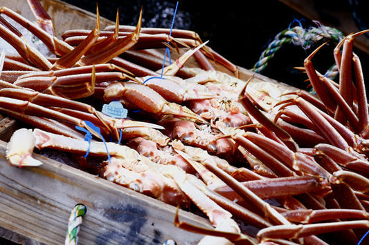 とろ箱松葉ガニセット