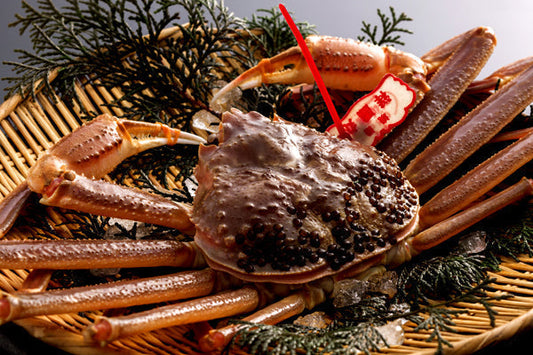 【訳ありお値打ち品】活け山陰沖産松葉蟹