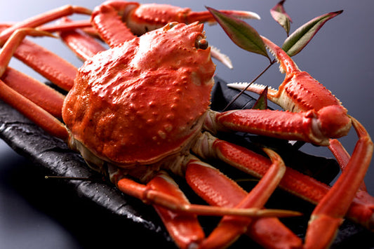 【ご贈答用】茹で山陰沖産松葉蟹