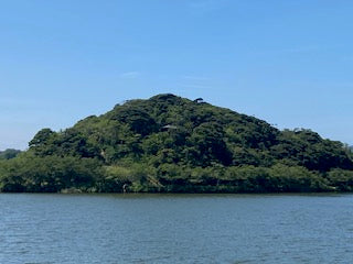 本日も快晴
