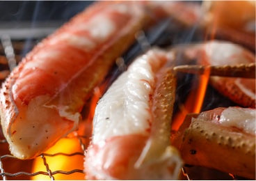 春の陽気が。。。