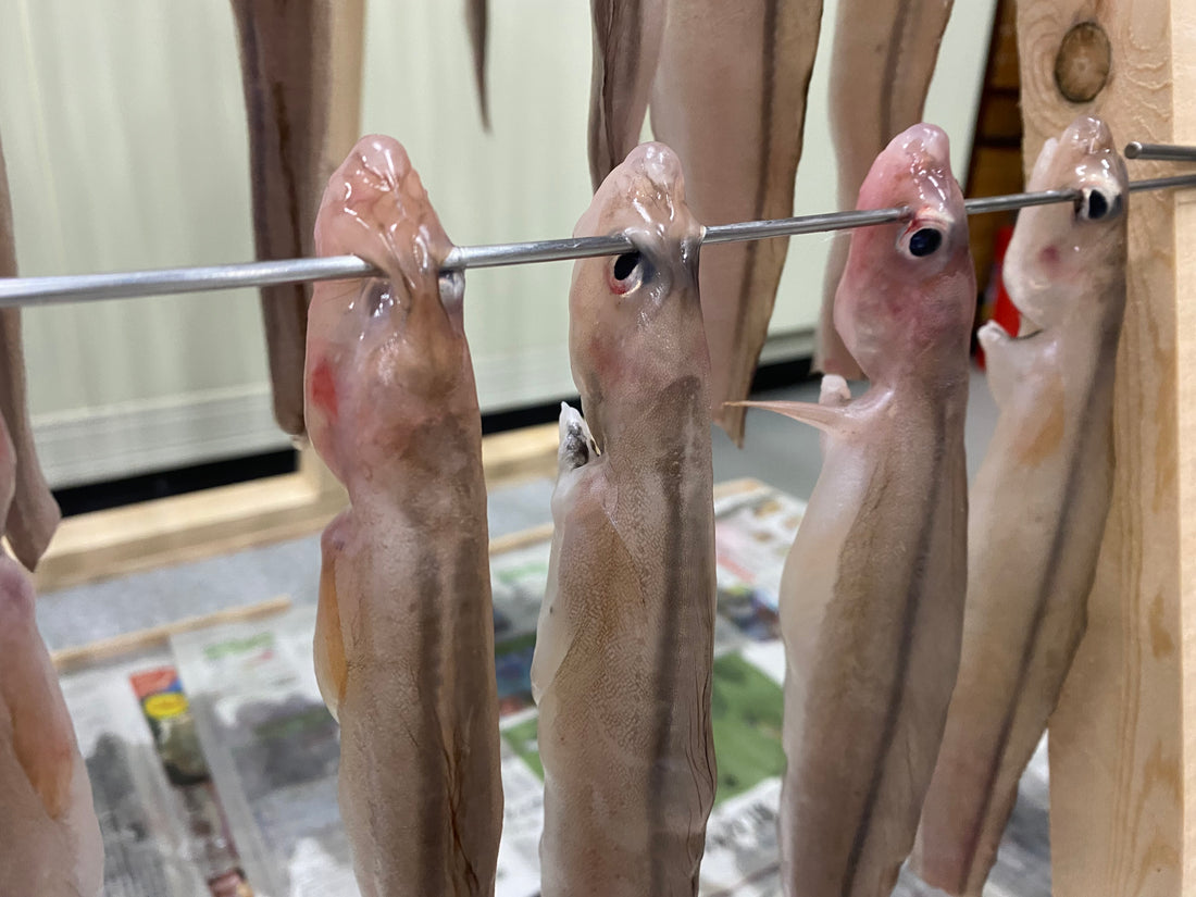ぐら干し