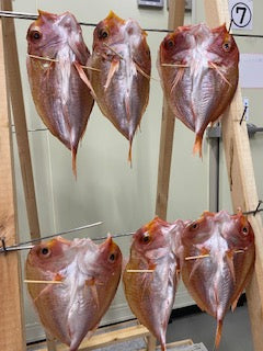 連子鯛