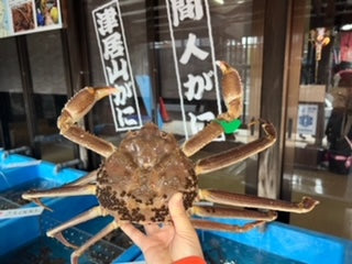 あと１か月です！（カニ漁解禁）