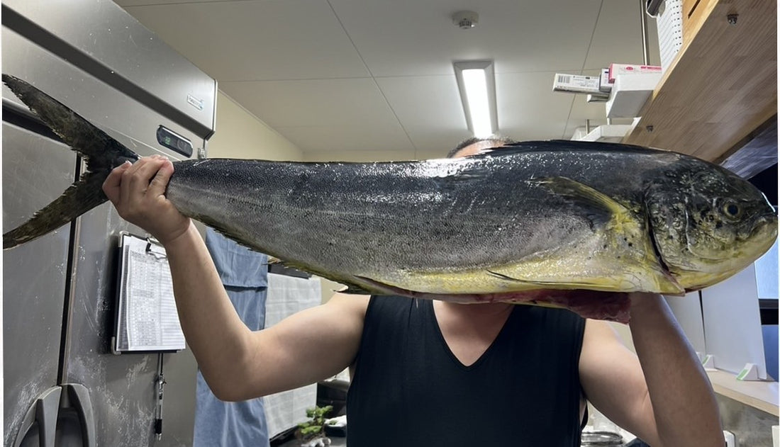 ある日の魚🐟