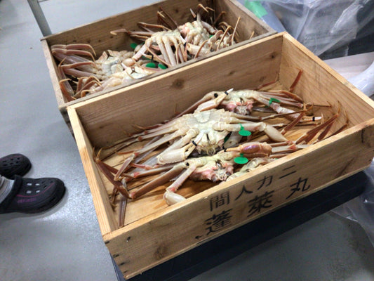 間人蟹🦀