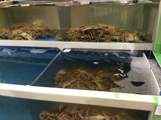 セコ蟹（こっぺ蟹）入荷！