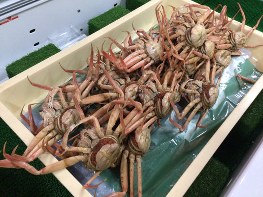 茹でたて🦀