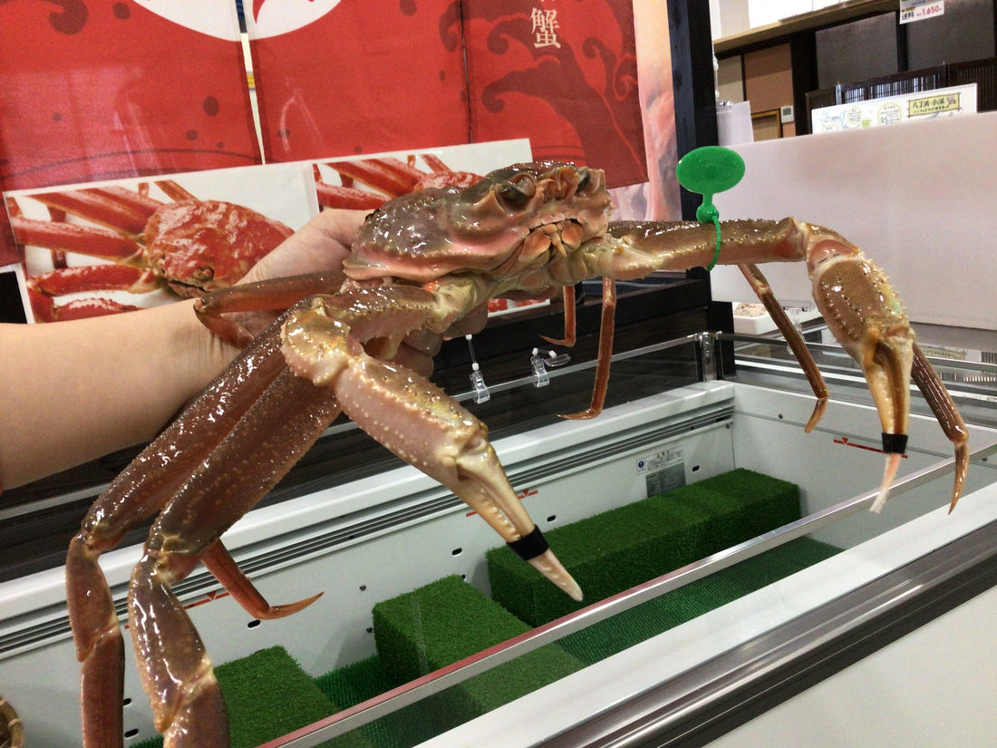 活かに🦀