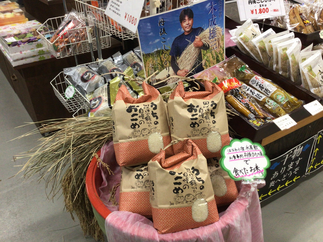 丹後こしひかり🌾