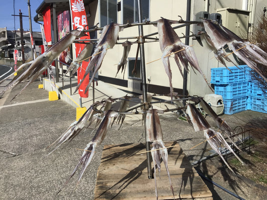 快晴(^^♪～イカ干してます！！