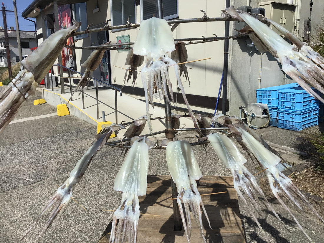 イカ天日干し