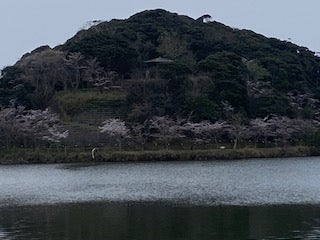 あともう少しで(#^.^#)