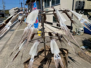 イカ干し