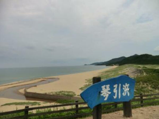 琴引浜