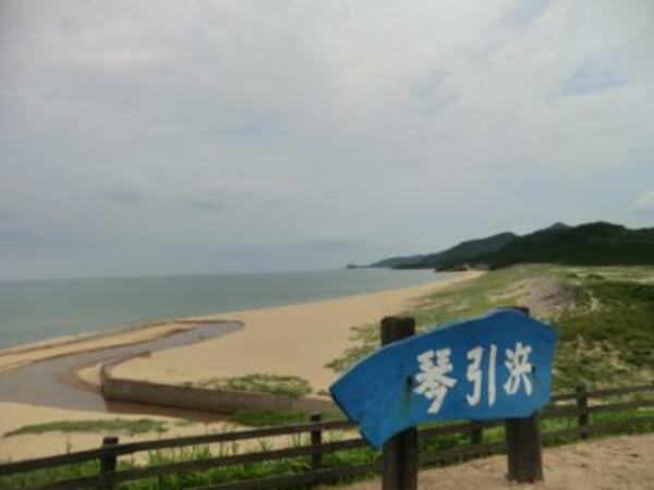 琴引浜