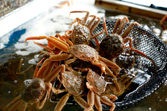 今シーズンもあと僅か！