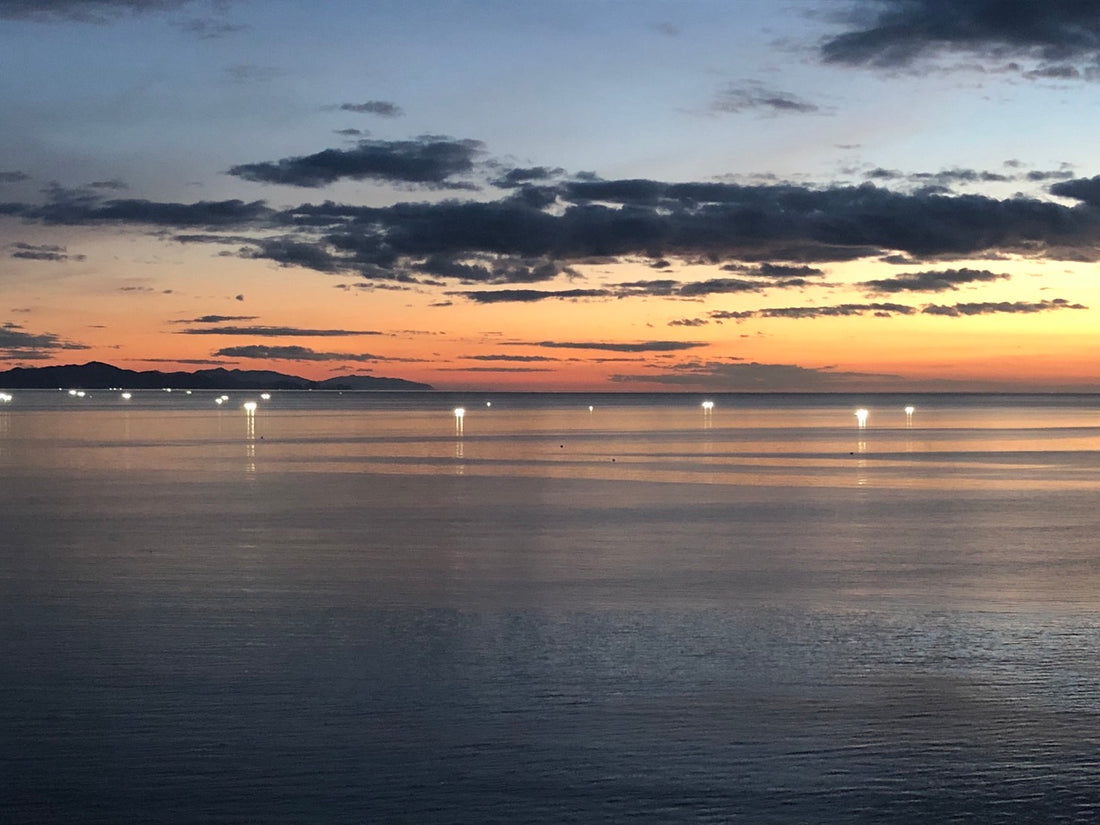 日本海夏の風物詩