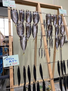 アジ、イワシ干物
