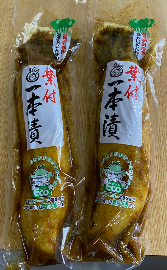 一本漬！