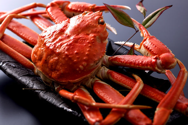 【厳選】茹で松葉蟹 4L(900g級)