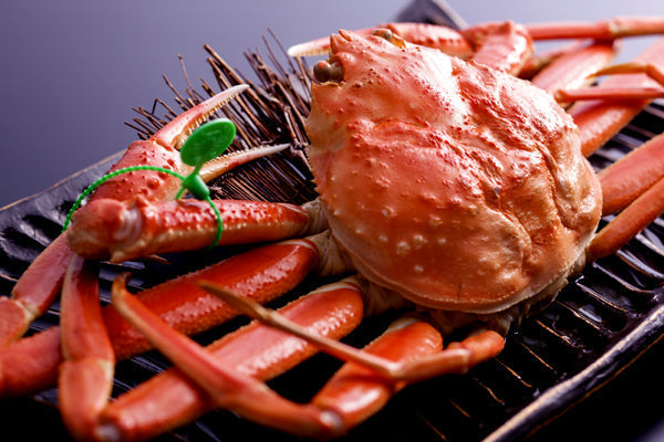 【厳選】茹で間人カニ／舞鶴カニ 4L(900g級)【11月10日からお届け可能】