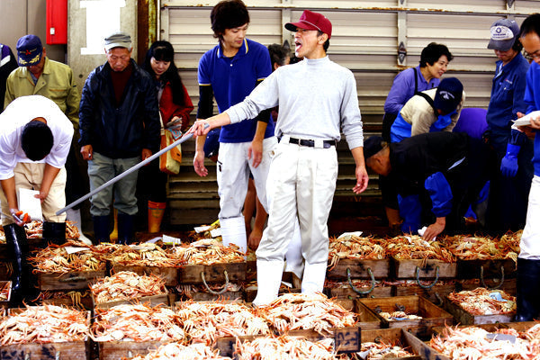 活けセコガニ【贈答用】