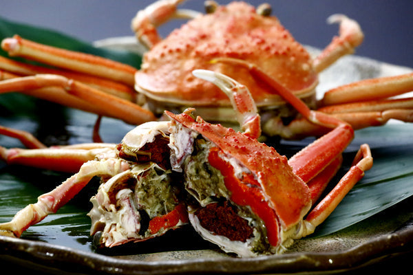 活けセコガニ【贈答用】